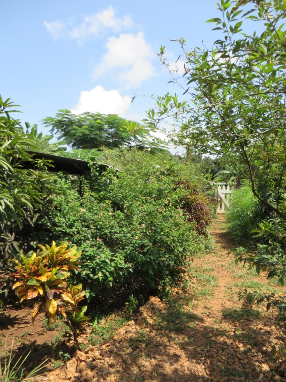 Bahati Diani House Glamping Diani Beach Buitenkant foto