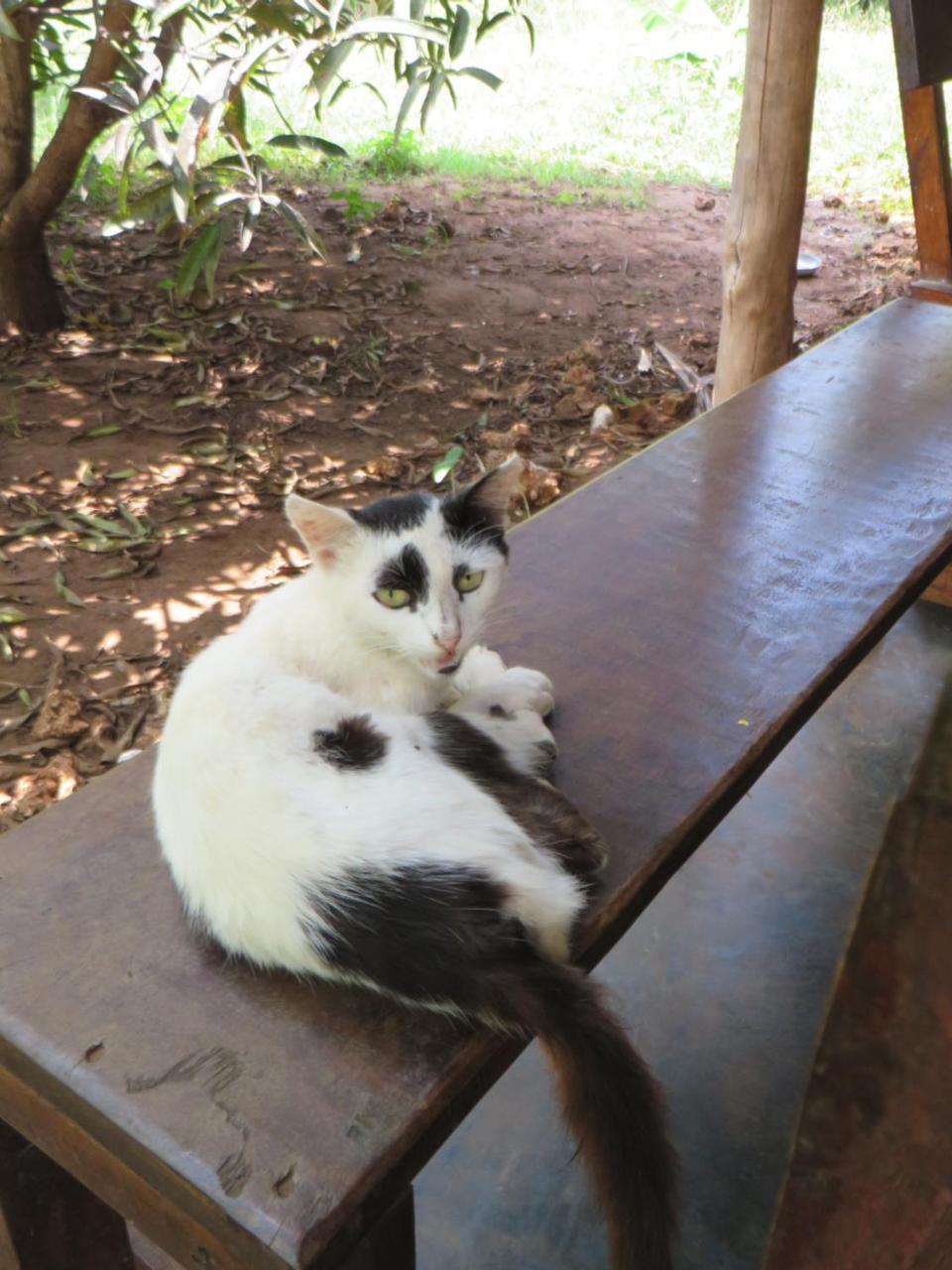 Bahati Diani House Glamping Diani Beach Buitenkant foto