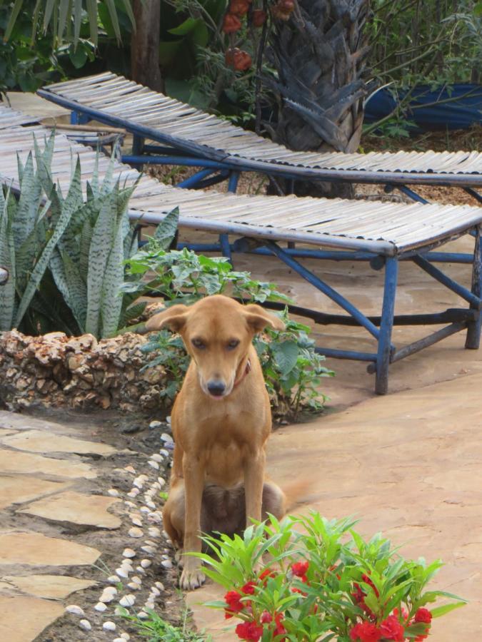 Bahati Diani House Glamping Diani Beach Buitenkant foto